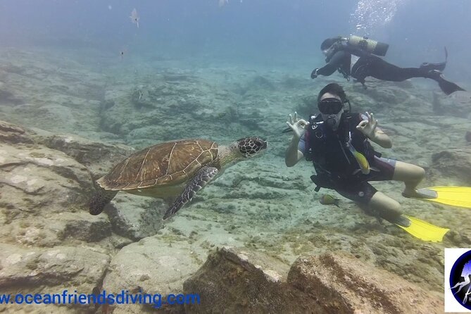 Discover Scuba Diving, free pictures included - What the strong feedback tells you