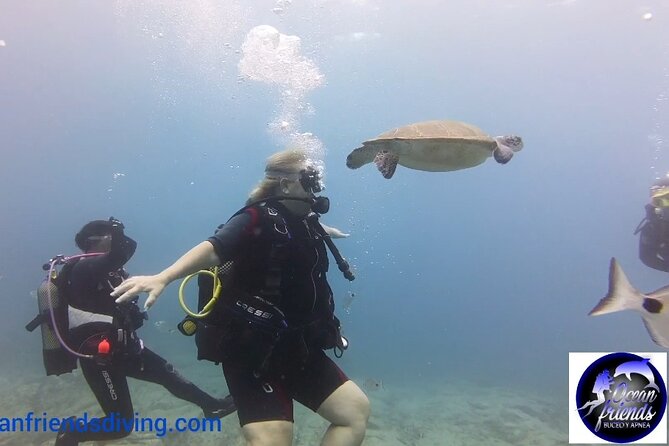Discover Scuba Diving, free pictures included - A small group makes the learning easier