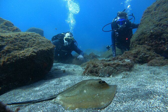 Discover Scuba Diving in Tenerife - What the underwater portion feels like