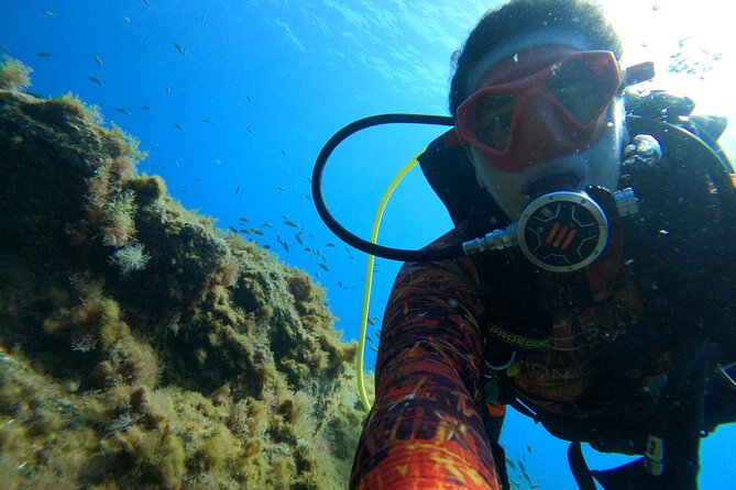 Discover Scuba Diving in Tenerife - Timing, transport, and practical planning
