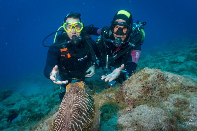 Discover Scuba Diving, Playa de las Americas - Starting at Aqua-Marina in Playa de las Americas