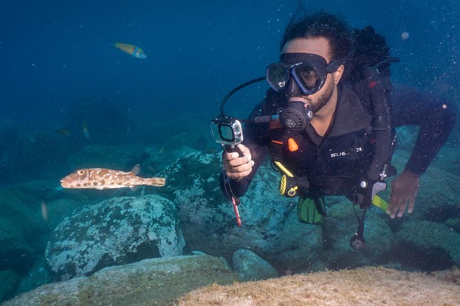 Discover Scuba Diving, Playa de las Americas - A 40 to 45-minute underwater session