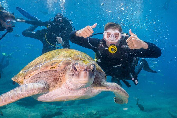 Discover Scuba Diving program: shore + boat dives - Key details before you book