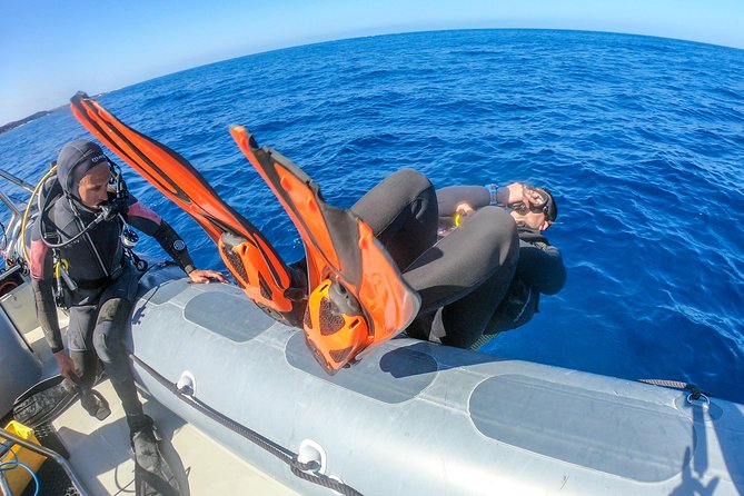 Discover Scuba Diving program: shore + boat dives - Learning the basics from shore