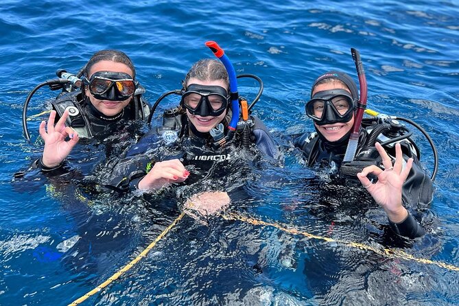 Discover Scuba Diving - Try it for the first time! - Key points to know before booking