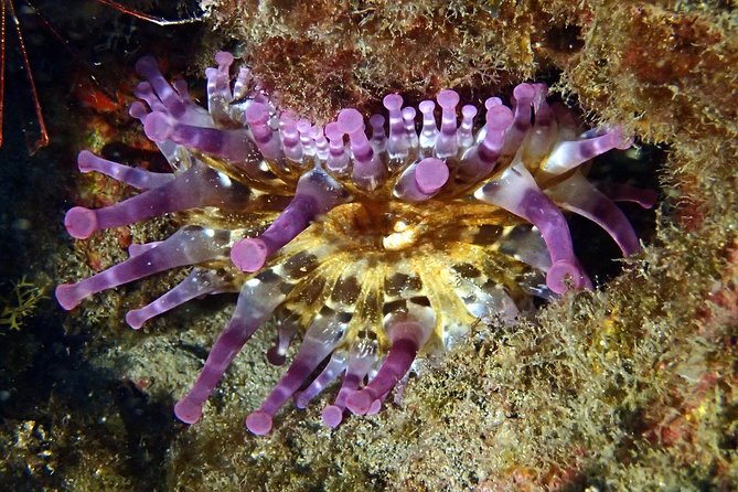 Discover Scuba Diving - Try it for the first time! - The good and bad of the boat operation