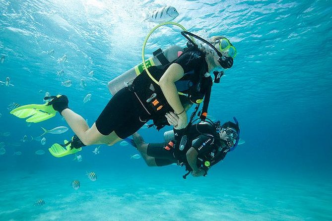 Discover Scuba Diving with two dives in the Ocean in Tenerife with Transfers - Key things to know before booking