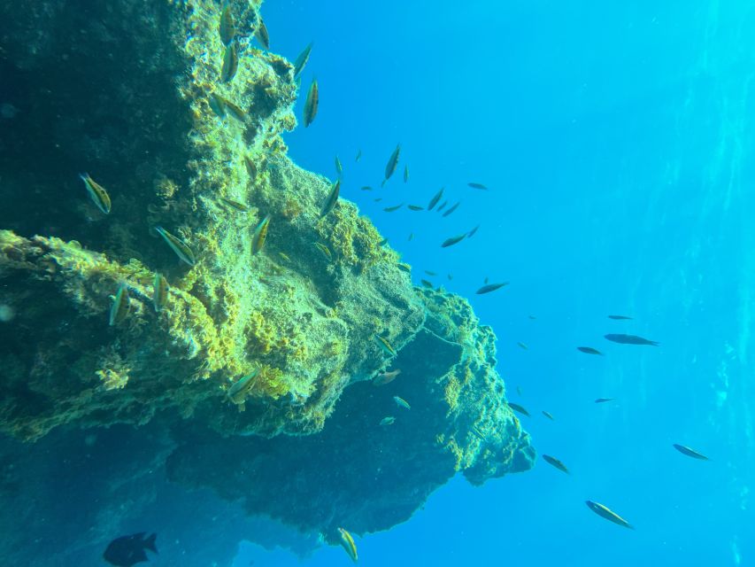 Diving course for beginners in turtle area Tenerife - My call on the Abades course