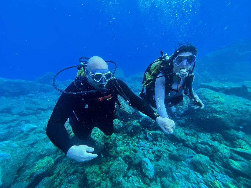 Diving course for beginners in turtle area Tenerife - Starting at Abades beach beside Magilu