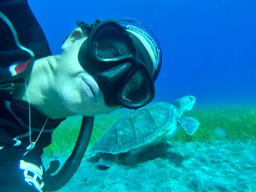 Diving course for beginners in turtle area Tenerife - Who will enjoy this most