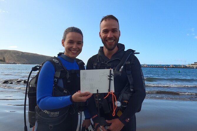 Diving in Los Cristianos, Tenerife - What you might see below Playa Las Vistas