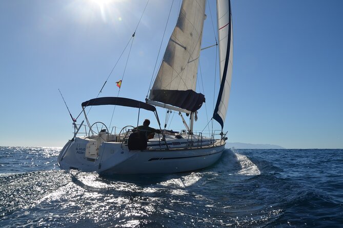 Dolphin and Whale Sailing Tour in Los Gigantes - Key points to know before booking