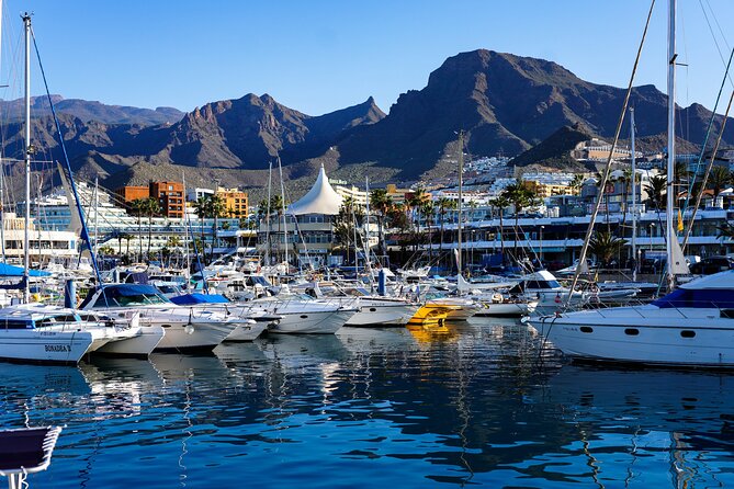 Double Tuk Tuk Tour in Costa Adeje - From Hotel Best Jacaranda to Puerto Colón