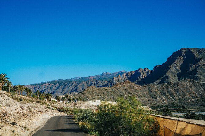 Double Tuk Tuk Tour in Costa Adeje - La Caleta, fishing traditions, and natural pools