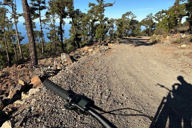E-bike Ride at Chinyero Natural Reserve - on premium bikes - Chinyero Volcano and Arenas Negras
