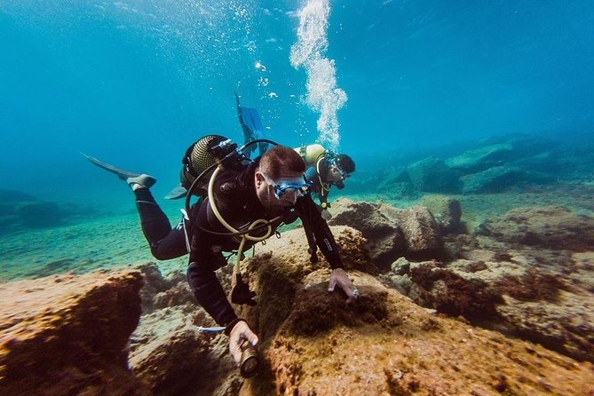 Eco Adapted Diving in Tenerife - Key points to know before booking