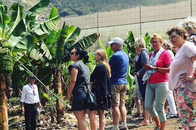 Eco banana farm Tour - Ecological farming and the 95% self-sufficient finca