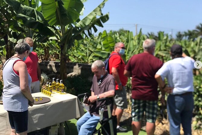 Eco banana farm Tour - Getting to the meeting point