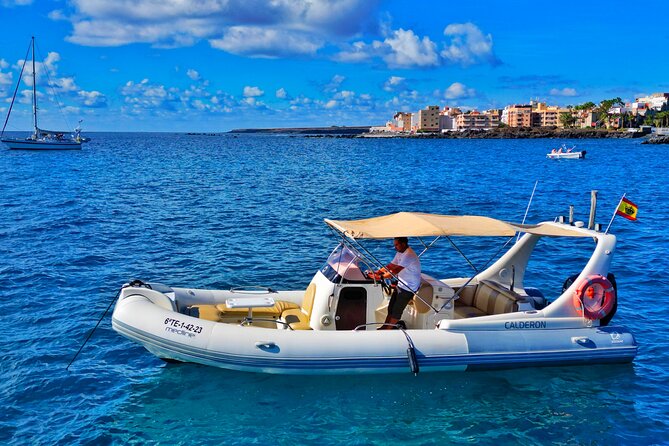 Eco Tour in the South of Tenerife with Snorkeling and Bathing Included - Key points to know before you book