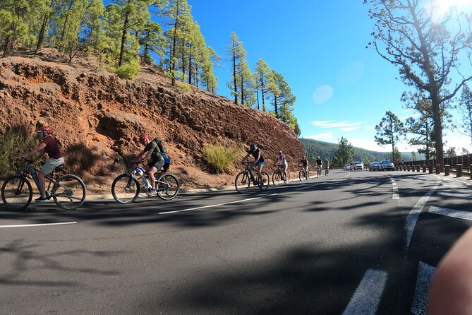 Electric Bike Teide Volcano Guided Tour - Riding inside Teide National Park