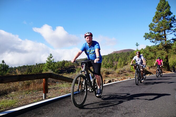 Electric Bike Teide Volcano Guided Tour - What the $143.29 price gets you