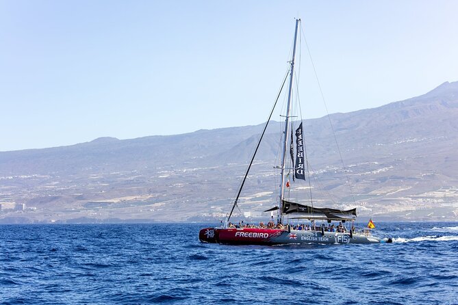 Exclusive Freebird Catamaran Whale & Dolphin to Masca From South - Searching the water for dolphins and pilot whales