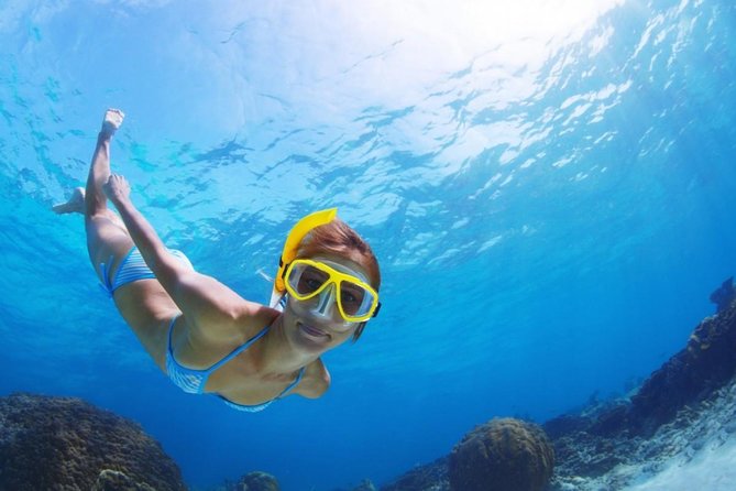 Exclusive Snorkeling Trip Guided by Marine Biology Specialist - Why the small group matters in Golf del Sur