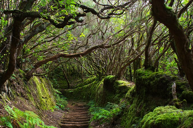 Exclusive Tenerife Highlights Shore Tour for Cruise Passengers - Teide National Park and the road into volcano country