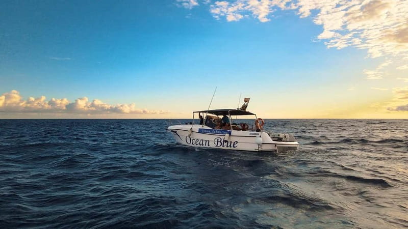 Excursion to see the whales - 3 Hours - Leaving Lina Yacht for Puerto Colón
