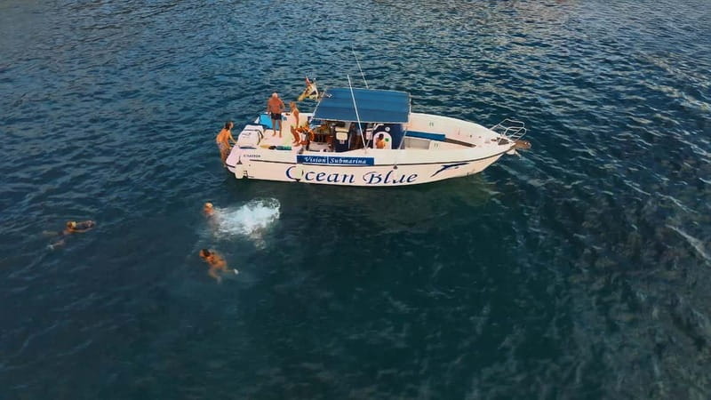 Excursion to see the whales - 3 Hours - Glass-bottom viewing beneath the boat