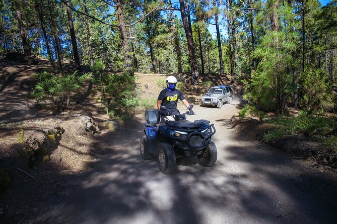 Forest & Off Road National Park Quad Biking Tour - Key points at a glance