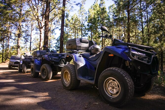 Forest & Off Road National Park Quad Biking Tour - Guides who make the difference