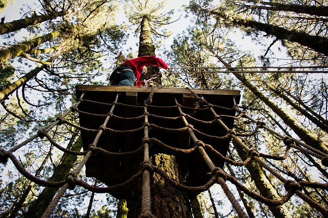 Forestal Park Tenerife Entrance Ticket - Climbing into the Canary pine forest