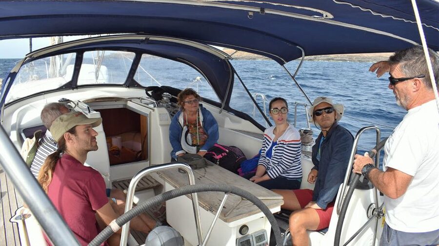 From Los Gigantes: Whale Watching Sailboat Cruise - Should you book the Picarus Sailing Club cruise?