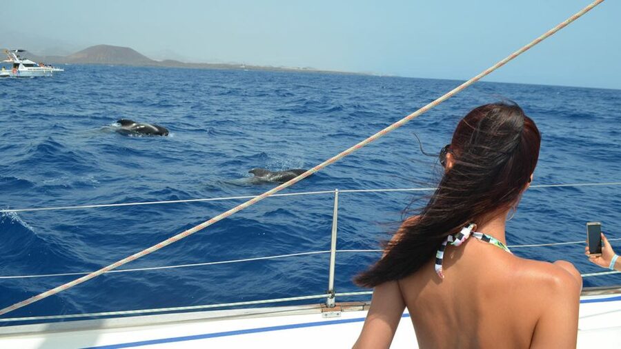 From Los Gigantes: Whale Watching Sailboat Cruise - What to bring for a comfortable trip