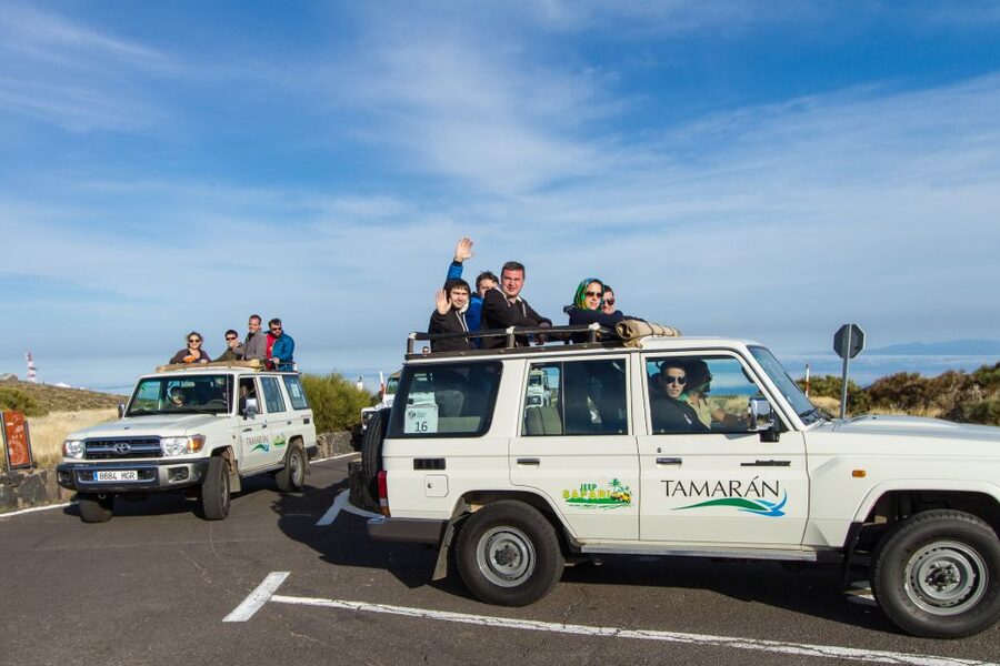 From Playa de las América: Half-Day Jeep Safari Tour - Vilaflor and the climb toward Teide