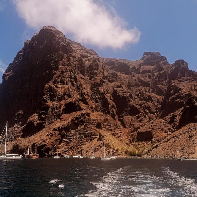 From Playa San Juan: Whale Watching, Gigantes, and Masca Bay - Masca Bay brings time to swim