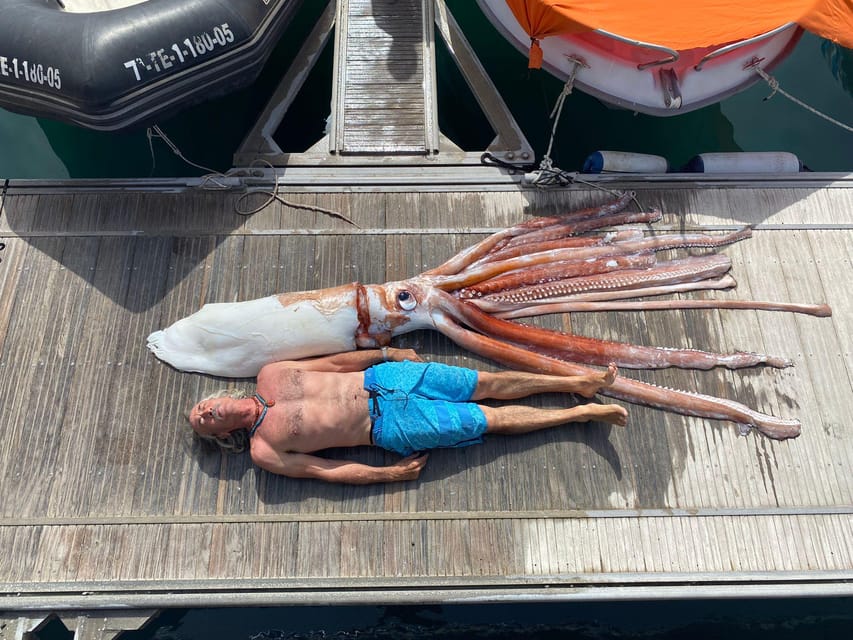 From Playa San Juan: Whale Watching, Gigantes, and Masca Bay - Who will enjoy this cruise most