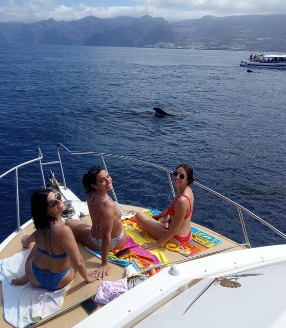 From Playa San Juan: Whale Watching, Gigantes, and Masca Bay - The return along Tenerife’s volcanic coast