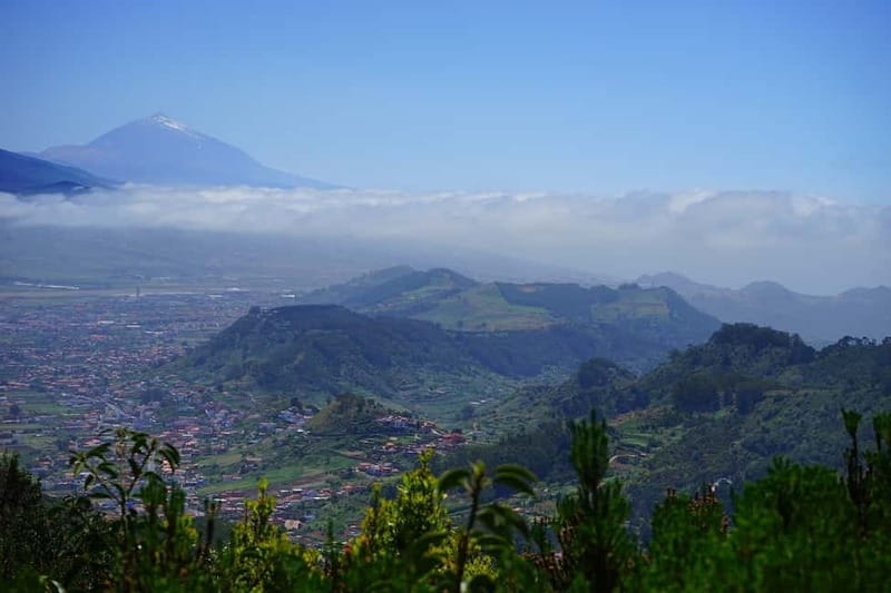 From Puerto de La Cruz: VIP Tour Around Anaga and La Laguna - La Laguna first, then the mountains