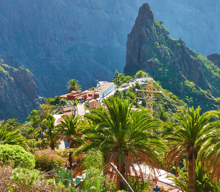 From Santa Cruz de Tenerife: Masca & Garachico Private Trip - Icod de los Vinos and the Millenary Drago