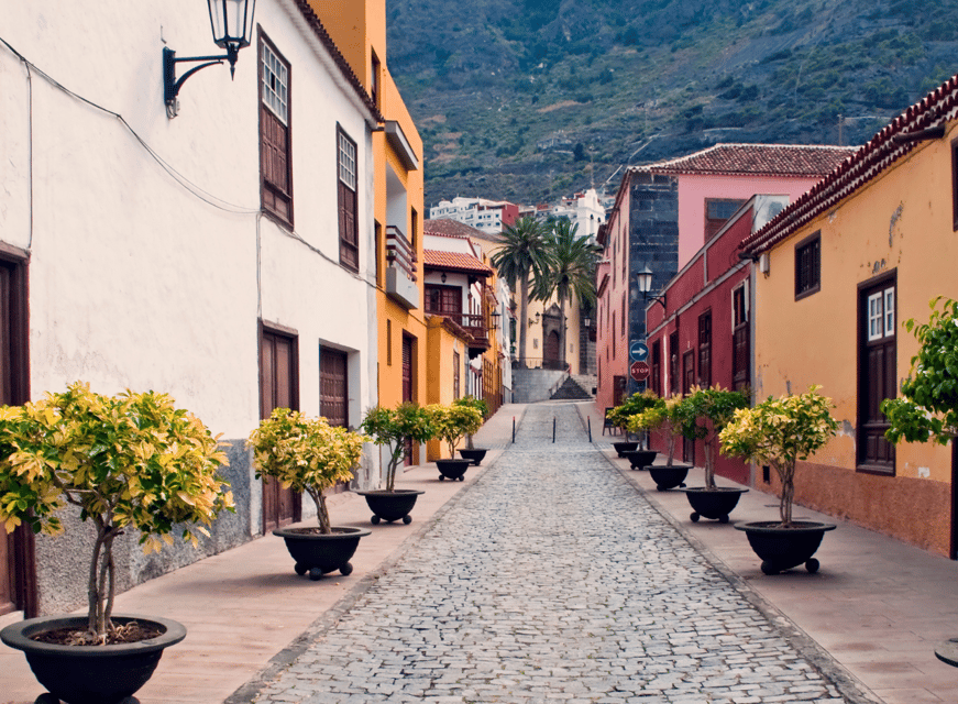 From Santa Cruz de Tenerife: Masca & Garachico Private Trip - What the private guide changes