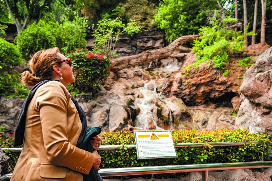 From South Tenerife: Loro Park Zoo Ticket & Hotel Transfers - Eating inside the park