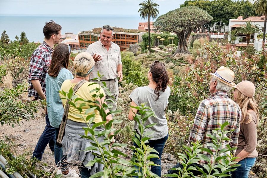 From South Tenerife: VIP Grand Tour Tenerife island - Why this tour makes sense for seeing Tenerife