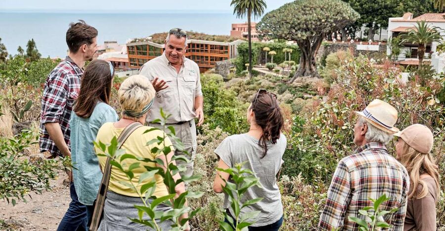 From South Tenerife: VIP Grand Tour Tenerife island - Masca and its mountain hamlets