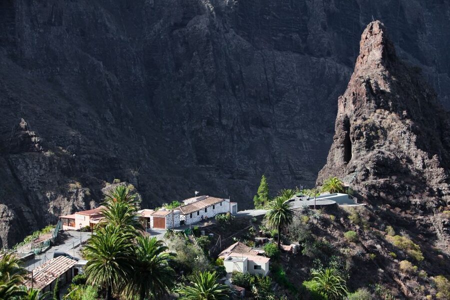 From South Tenerife: VIP Grand Tour Tenerife island - Starting in Costa Adeje at 8:20 AM