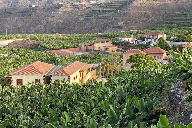 From Tenerife: Tajogaite Volcano, La Cumbrecita and Casco Antiguo - What the $165.90 price includes