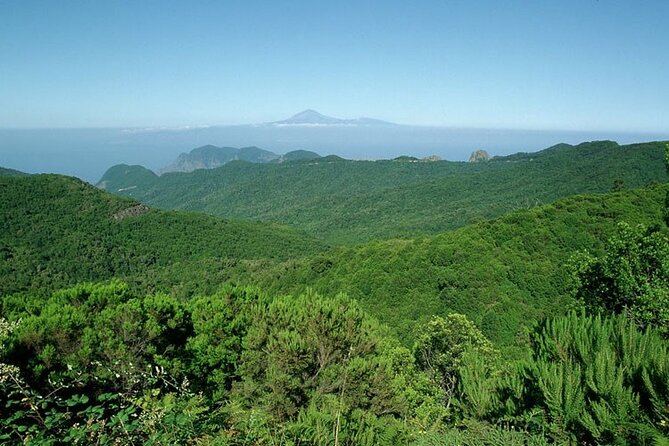 Full Day Guided Tour to La Gomera from Tenerife - Agulo, Las Rosas, and the included lunch