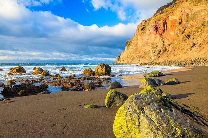 Full Day Guided Tour to La Gomera from Tenerife - Who should book this La Gomera tour