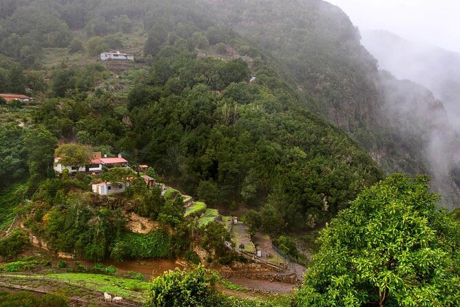 Full Day Guided Tour to La Gomera from Tenerife - Getting from Tenerife to San Sebastián